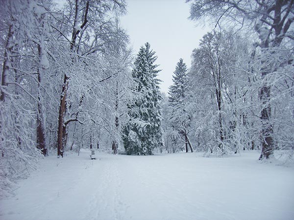 Węgrów płatki snieguowisko