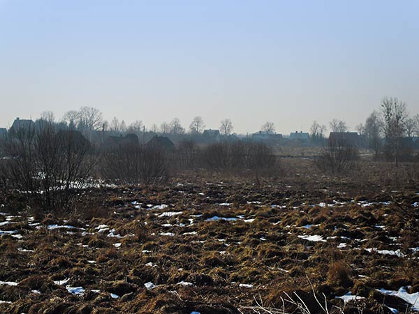 Wycieczka do puszczy Białowieskiej