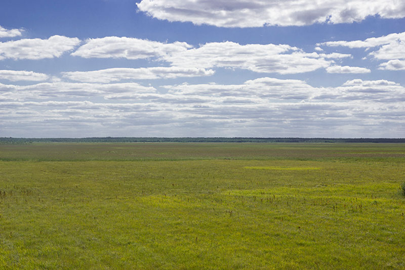 bagna nadbiebrzańskie