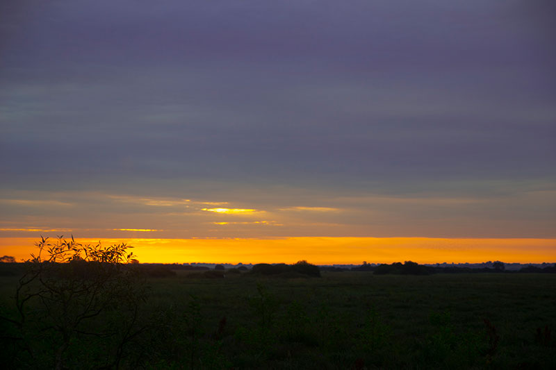 poranek nad Biebrzą