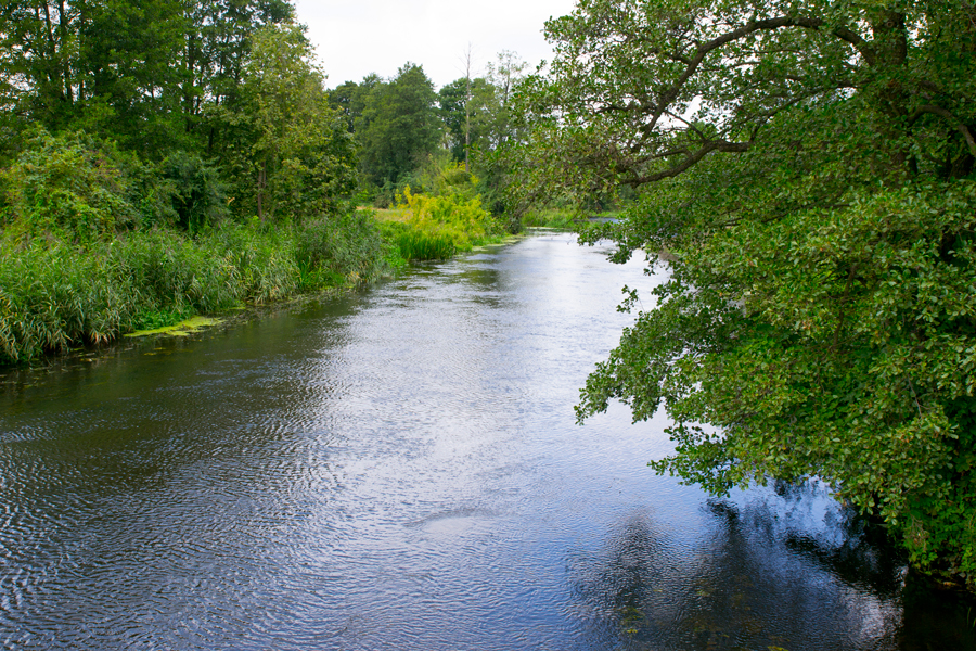 rzeka płynąca wśród drzew