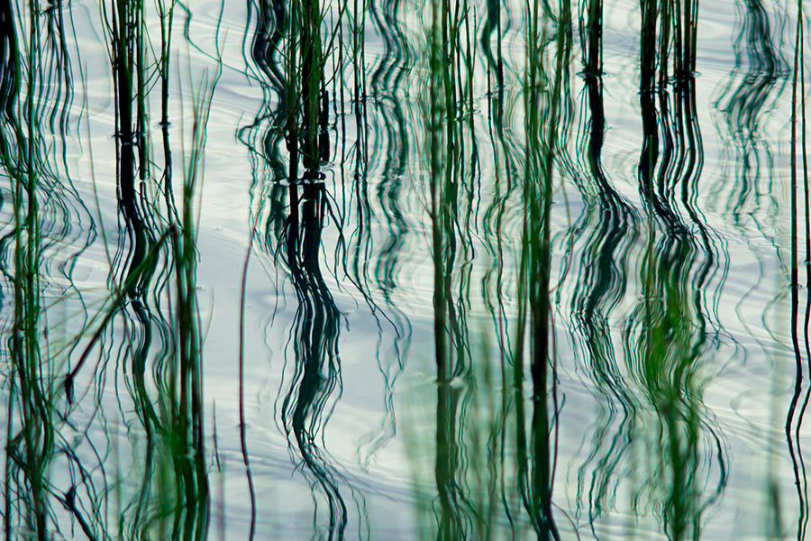 rszuwary i ich odbicie w wodzie