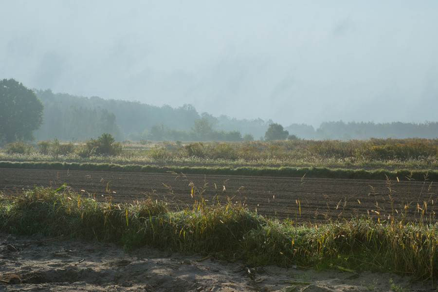 jesienny pejzaż z polami i mgłą