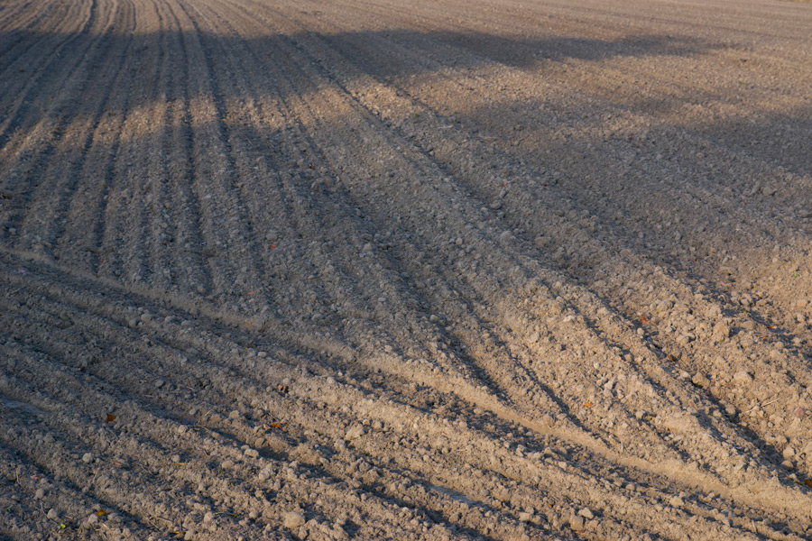 świeżo zaorane pole