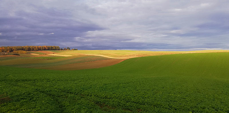  Pejzaż z polami oswietlony słońcem 