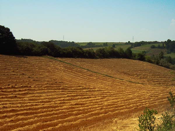  Upalny dzięń na szlaku