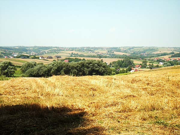 Pola na wzgórzach po zniwach
