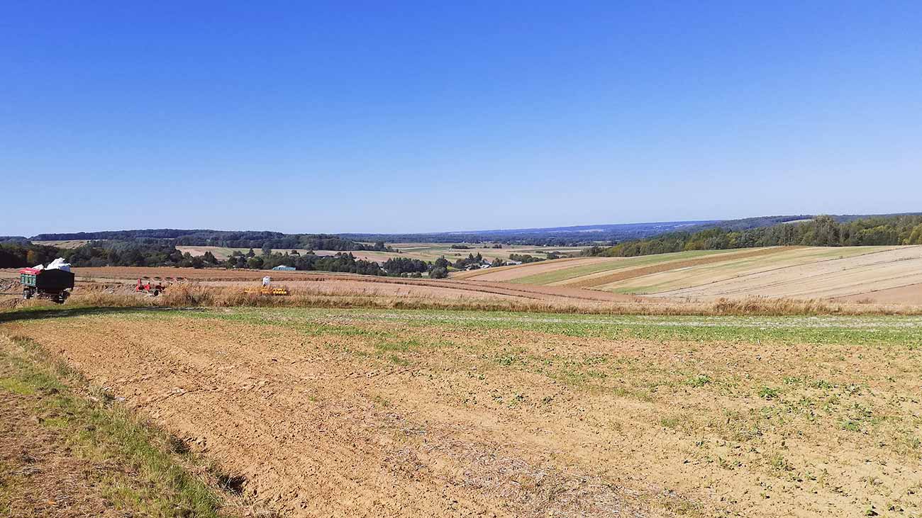  daleki widok na pola i lasy 