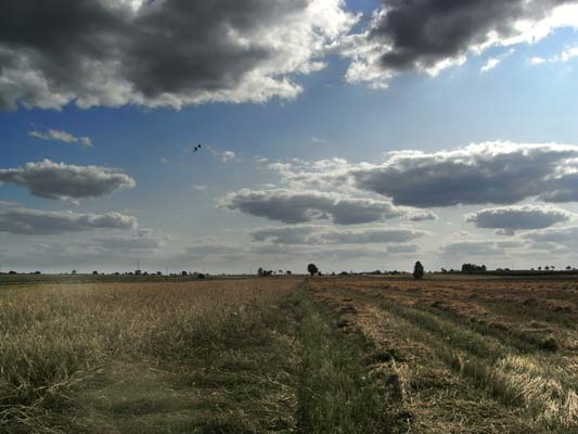 chmury nad polami w kolorach późnego lata