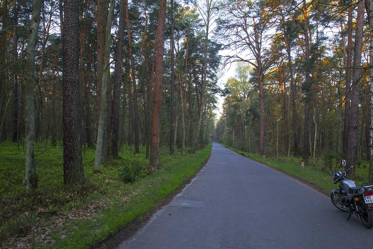 Droga po horyzont przez Puszczę
