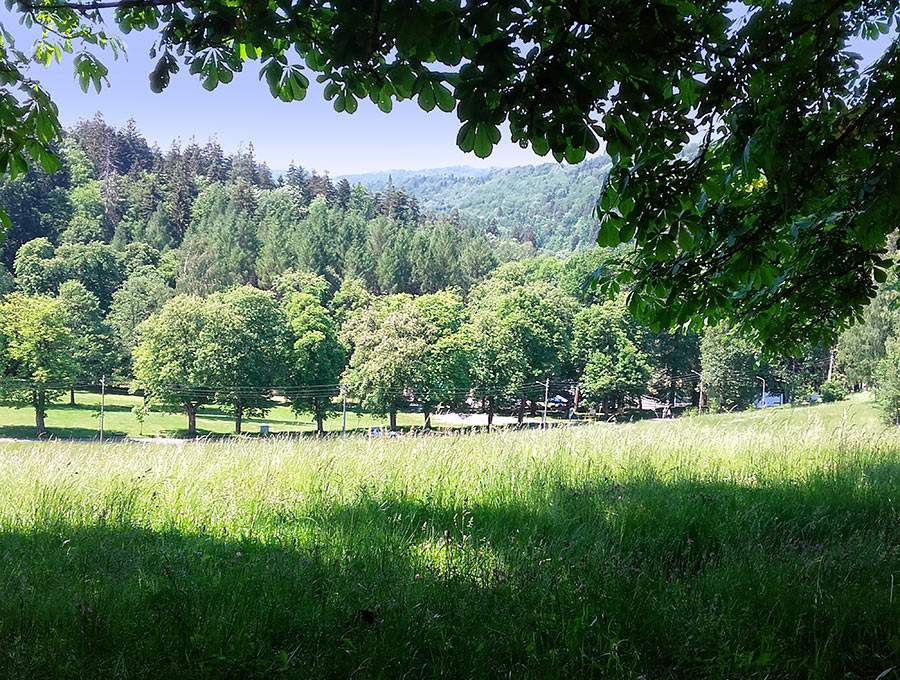 widok na zielone wzgórza