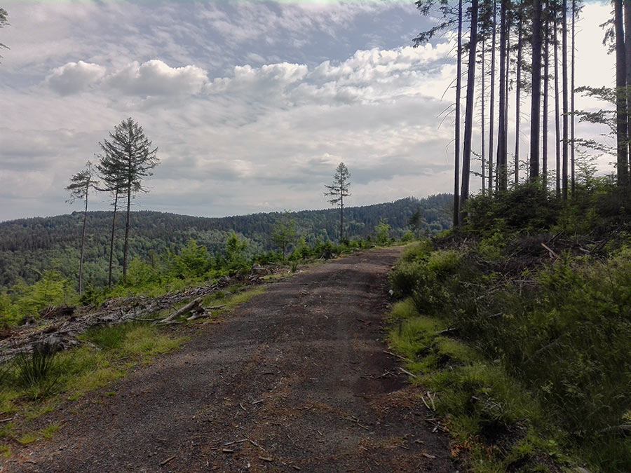 droga wśród gór i lasów