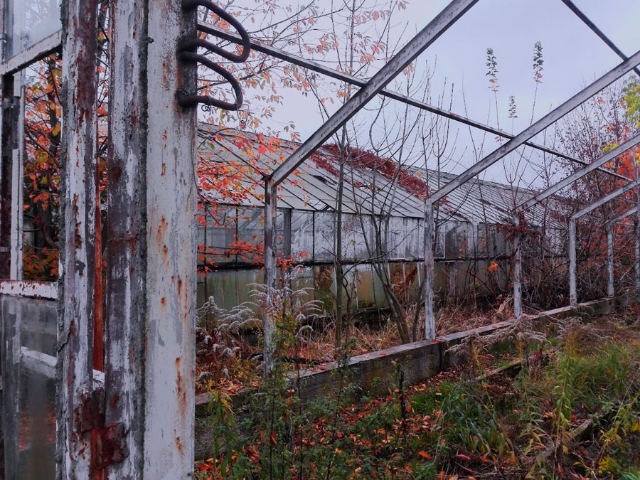 szkielet opuszczonej szklarni urbex