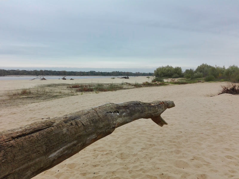 Plaża