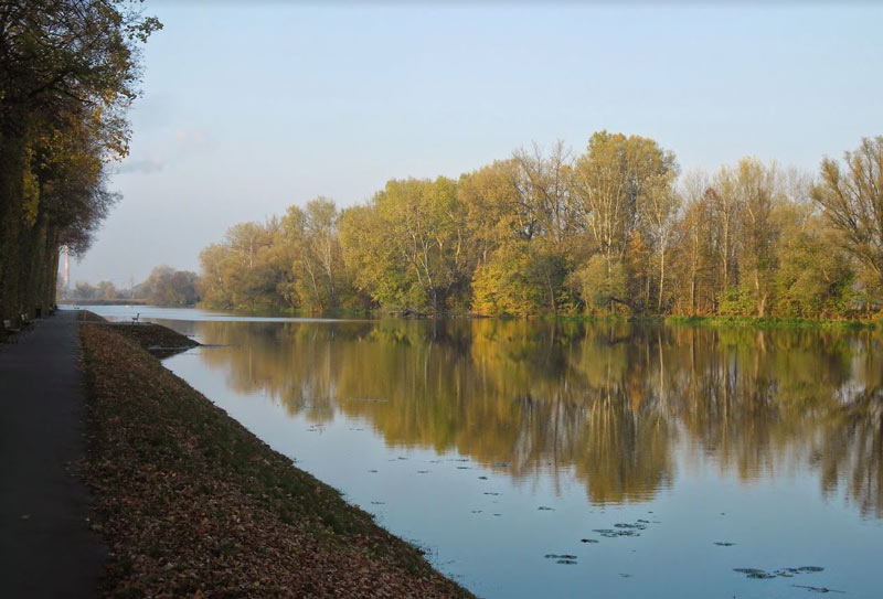 Żólte jesienne drzewa nad stawem