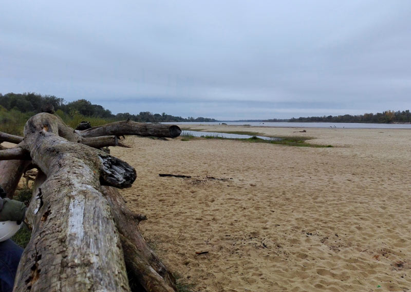 Widok na Wisłę i plażę