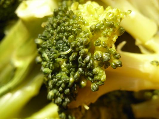  patrząc w góre Warszawa 