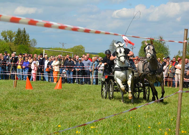 wyścigi zaprzegów, bryczek konnych