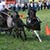 wy�cigi zaprz�g�w konnych