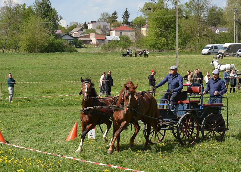 wożnica i luzak na wyścigach