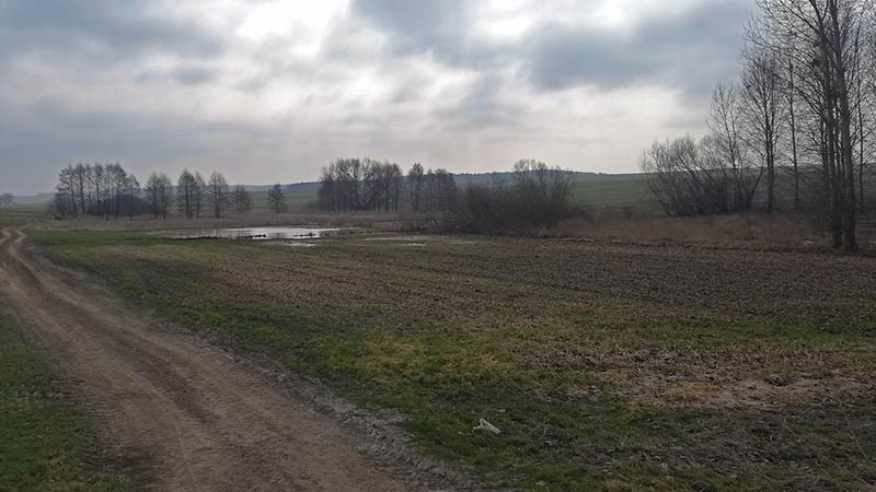 Droga wśród pól wczesna wisną