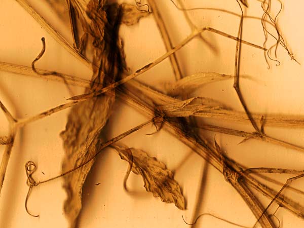 Wycieczka nad Czechy