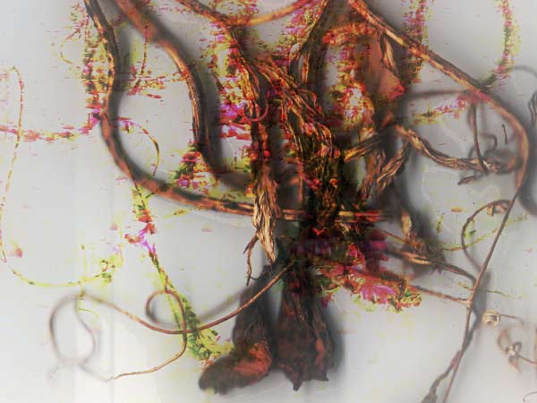  Wycieczka nad Czechy