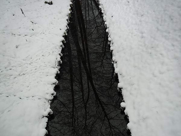 strumyk z odbijającymi się drzewami 