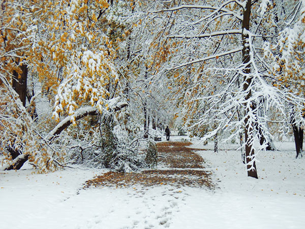 Wycieczka nad park