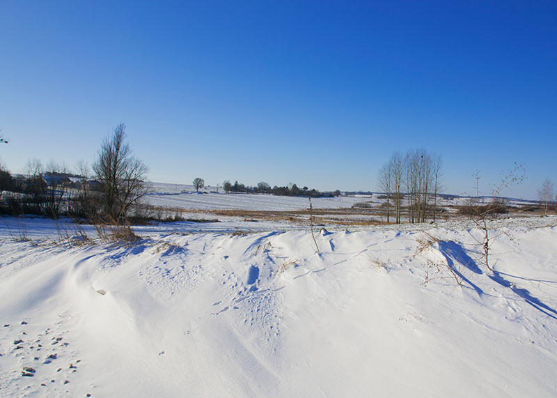 zimowy pejzaż z polami i drzewami