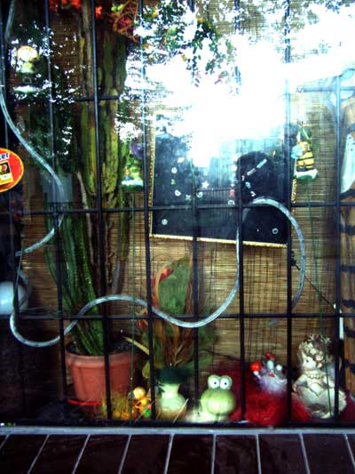 Fotoblog marketing i reklama