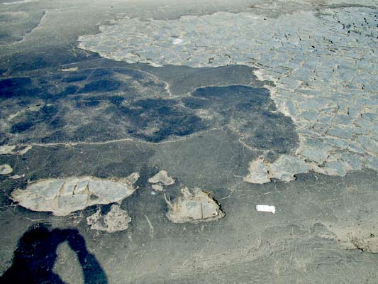 Nieznane wyspy na asfalcie