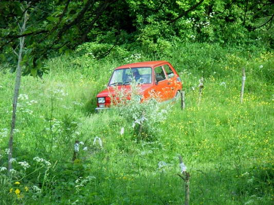 Mały Fiat