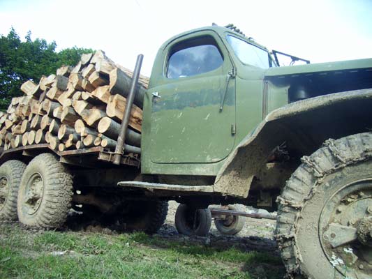ciężarówka do wywozu drewna