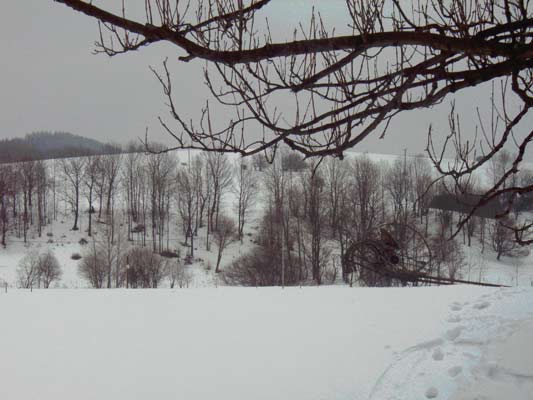 krajobraz Beskidów Niskich
