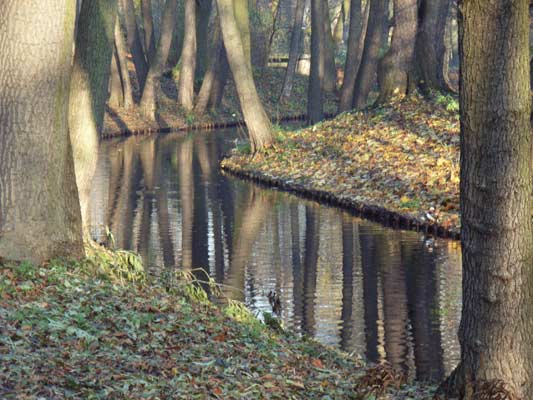 kanałek w parku Łazienki