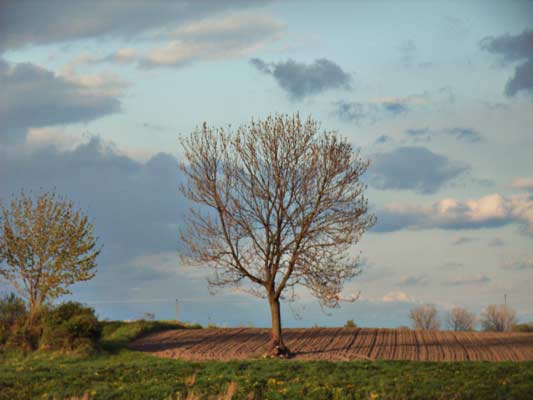 Powoli kończy się dzień Wereszyn