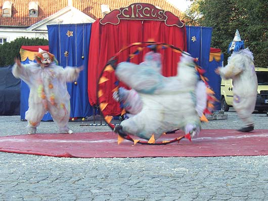 Wędrujące Lalki Pana Pazo - sztuka ulicy