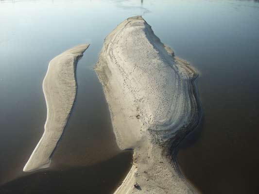 łacha na Wiśle w kształcie przypominającym rybę