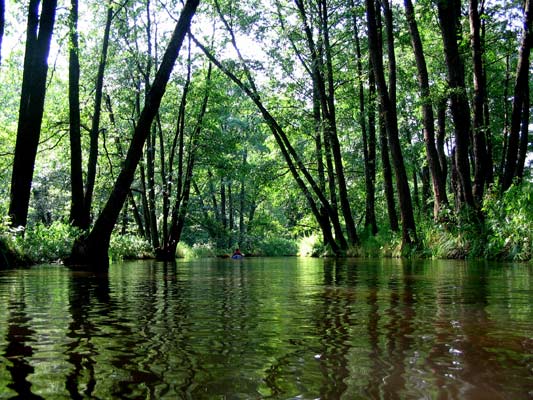 spływ kajakowy Zwierzyniec
