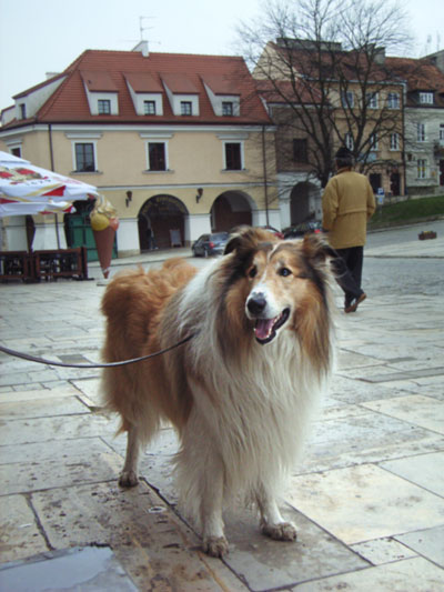 Sandomierz spokojne miasto