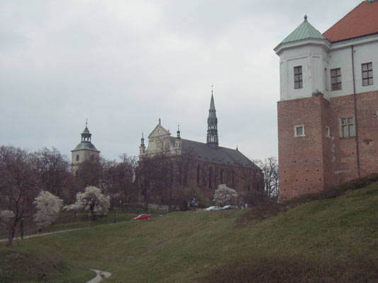 Wierze ponad miastem. Widok na Sandomierz.